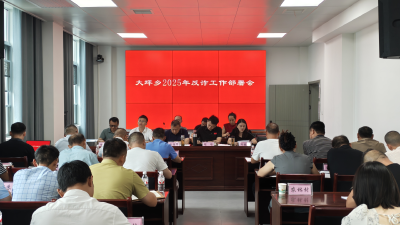通城县大坪乡全面部署反诈工作 织密群众“防护网”