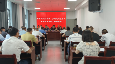 通城县大坪乡：深化移风易俗，弘扬文明新风