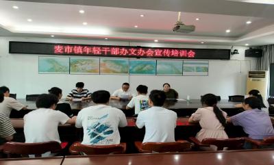 通城县麦市镇：以能力淬炼为抓手 赋能“干部素质提升年”建设