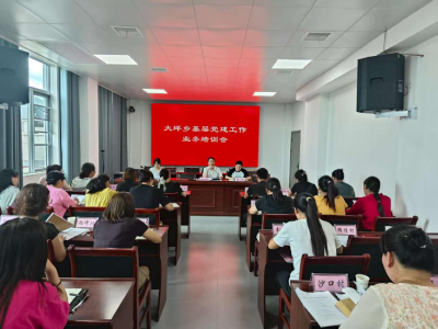 通城县大坪乡开展基层党建工作业务培训会
