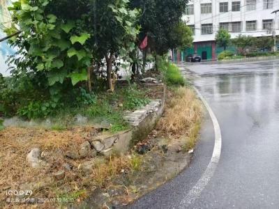 通城县麦市镇麦市村：干群齐动手，绘就环境整治新画卷