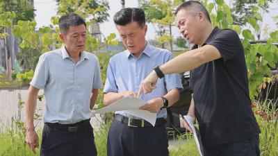 杨修伟调研2025年三季度重大开工项目建设工作