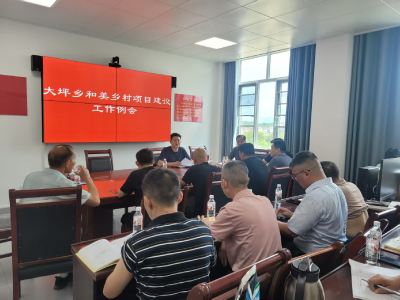 通城县大坪乡：定期召开工作例会 全力推进和美乡村建设