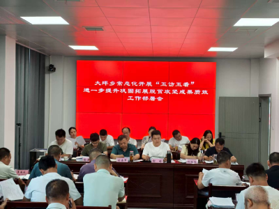 通城县大坪乡召开常态化开展“五访五看”进一步提升巩固拓展脱贫攻坚成果质效工作部署会