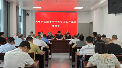 通城县大坪乡部署下半年安全生产工作 筑牢安全防线