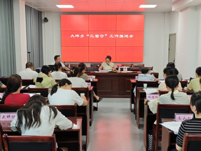 通城县大坪乡召开 “三留守” 工作推进会 用心用情关爱特殊群体