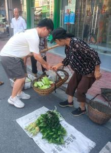 通城县塘湖镇：执法一线“练兵” 年轻干部街头实训悟治理真章