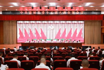 中共通城县委十五届八次全体会议举行 全面构建现代化产业体系 奋力打造绿色高端区域性制造业强县