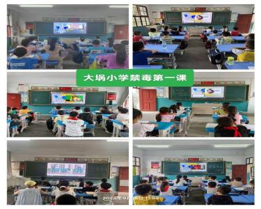 通城县塘湖镇大埚小学开展禁毒教育活动
