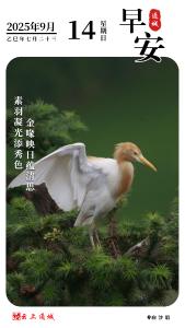 【海报】早安·隽秀通城 