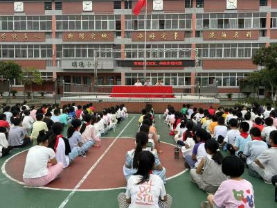 通城县麦市镇陈塅完小：增强法治观念 共建和谐校园