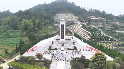 通城县举行烈士纪念日公祭活动  