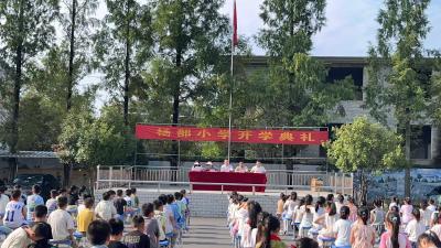 通城县大坪乡杨部小学举行开学典礼