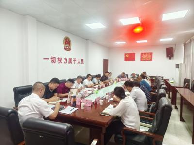 通城县人大常委会开展代表建议办理专题视察