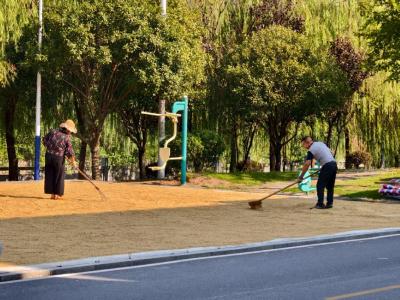 通城县北港镇横冲村：广场变身“晒谷场” 便民晒粮解民忧
