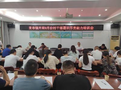 通城县麦市镇开展9月份村干部履职尽责能力培训会