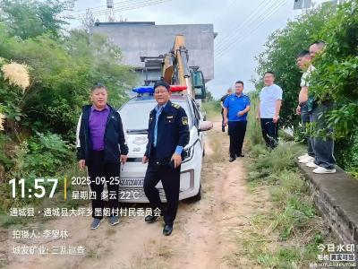 通城县大坪乡执法中心迅速行动 整治墨烟村非法采砂挖土乱象