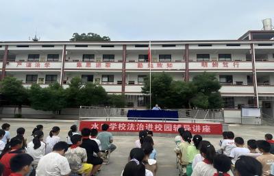 通城县大坪乡水口学校：学法知礼守初心 禁毒护安伴成长