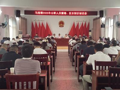 【网络安全宣传周】通城县马港镇召开公职人员禁毒与反诈知识培训会