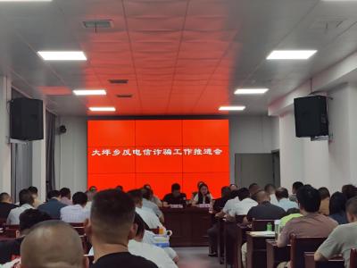 通城县大坪乡：聚焦反诈防控 全力推进工作落地到位