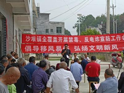 三载沙堆情：在志愿服务里写就青春成长记