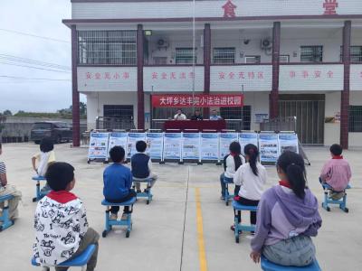 通城县大坪乡达丰完小：警校携手护幼苗 法治阳光进校园