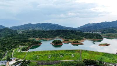 通城县水利和湖泊局：科学调度润良田 抗旱保收显担当  