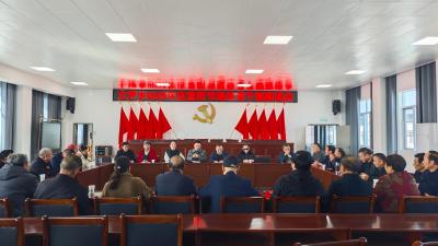 通城县大坪乡召开2025年度重阳节退休老干部座谈会