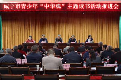 咸宁市青少年“中华魂”主题读书活动推进会在通城召开  