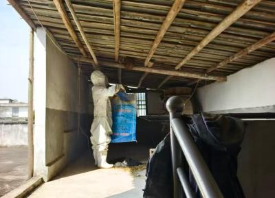 通城县沙堆镇坪坳村：村干“搭桥”消防“除患” 共筑乡村安全网