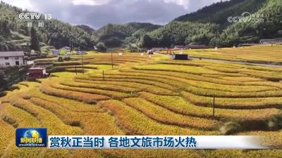 赏秋正当时 各地文旅市场火热