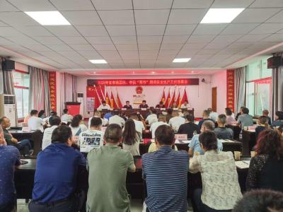 通城县麦市镇：聚焦双域除安全隐患 压实责任迎平安佳节