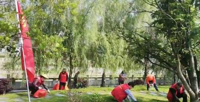 通城县北港镇横冲村：全国红十字模范单位的“治理密码”