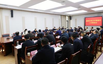 通城县召开重点乡镇建设工作推进会  