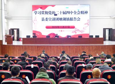 通城县领导到塘湖镇宣讲党的二十届四中全会精神  