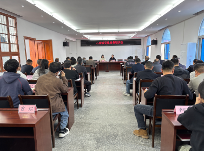 通城县石南镇组织召开机关党建业务培训会