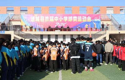 通城县首届中小学生球类运动会开幕  