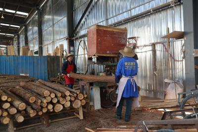 通城县五里镇木材市场：“小木头”撬动大产业 家门口铺就致富路  