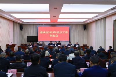 ​通城县召开2025年重点工作调度会