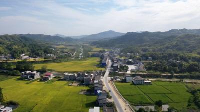 贯彻四中全会精神在基层丨马港镇：“四好农村路”畅通乡村振兴“血脉”  