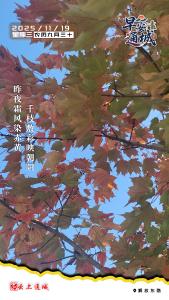 【海报】早安·隽秀通城