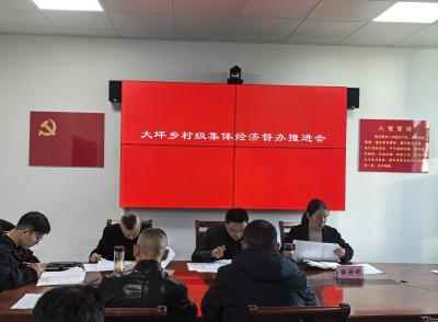 通城县大坪乡召开村级集体经济督办推进会