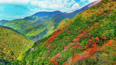 群山间，有片“会呼吸”的湿地