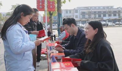 通城县大坪乡开展2025年国家宪法日暨宪法宣传周活动