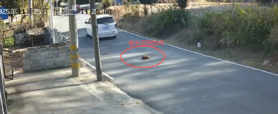 通城县四庄乡派出所民警获群众来电点赞