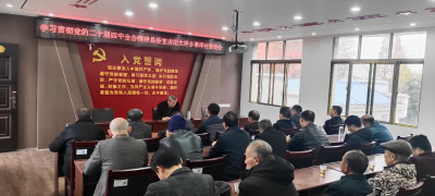 通城县领导到大坪乡宣讲党的二十届四中全会精神  