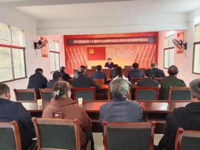 通城县领导到马港镇宣讲党的二十届四中全会精神  