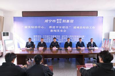 通城：新闻发布到基层 推介综治创新实践