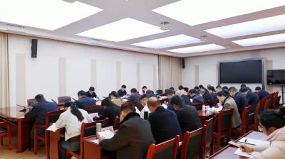 通城县召开强县工程工作推进会