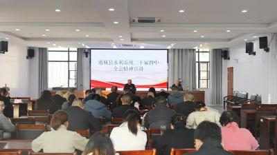 通城县水利和湖泊局举行学习贯彻党的二十届四中全会精神宣讲团报告会  